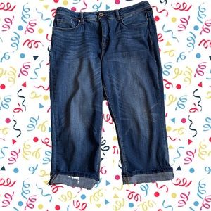 Diane Gilman Dark Finish Size 16 Capris